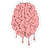 brains